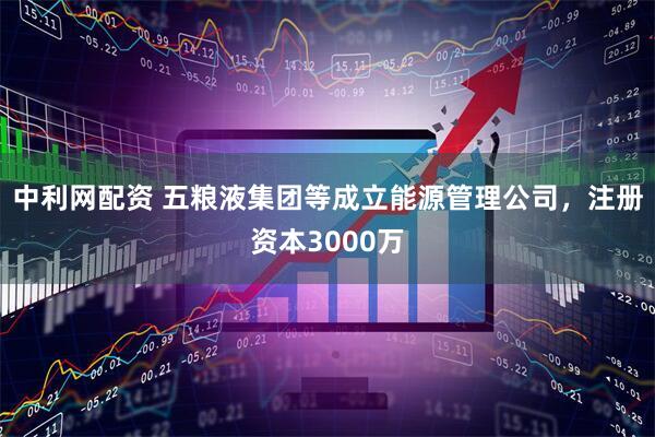 中利网配资 五粮液集团等成立能源管理公司，注册资本3000万