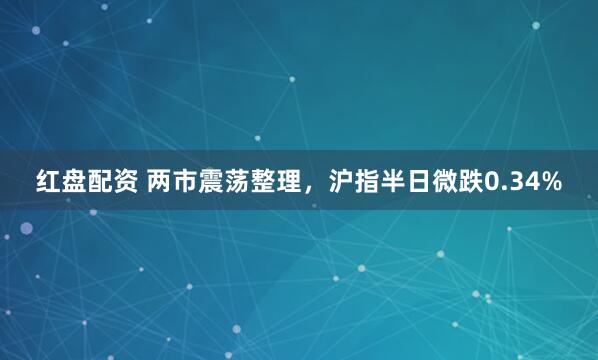 红盘配资 两市震荡整理，沪指半日微跌0.34%